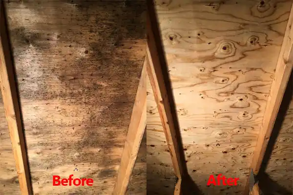 water damage restoration service Kalamazoo